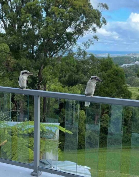 Ocean View Oasis, Coffs Harbour Apartment ภายนอก รูปภาพ
